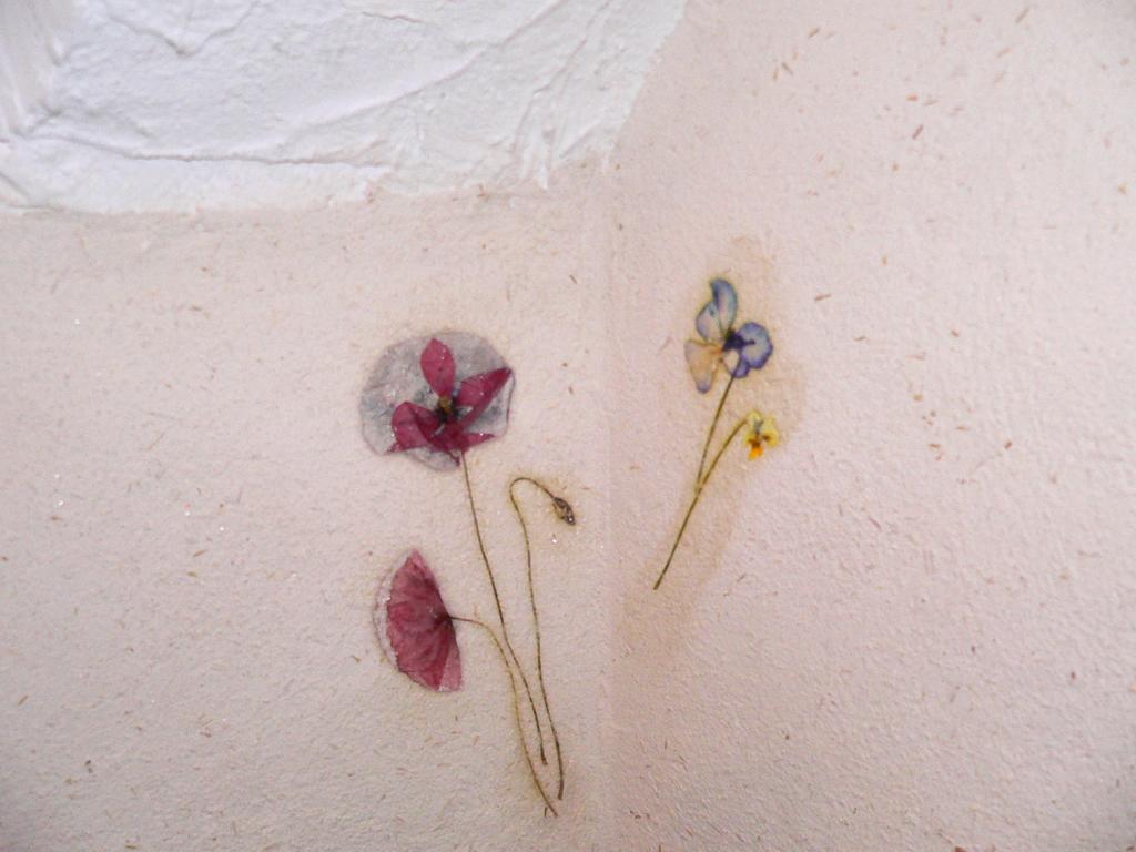 Chambres Et Gite "Pollen" Granier Экстерьер фото